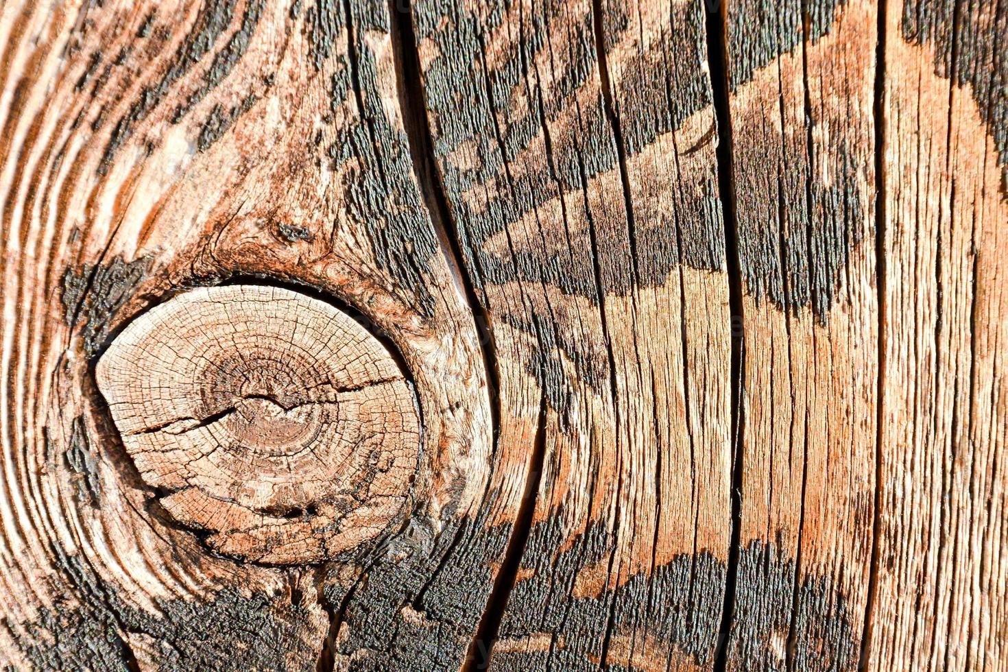 di legno avvicinamento struttura foto