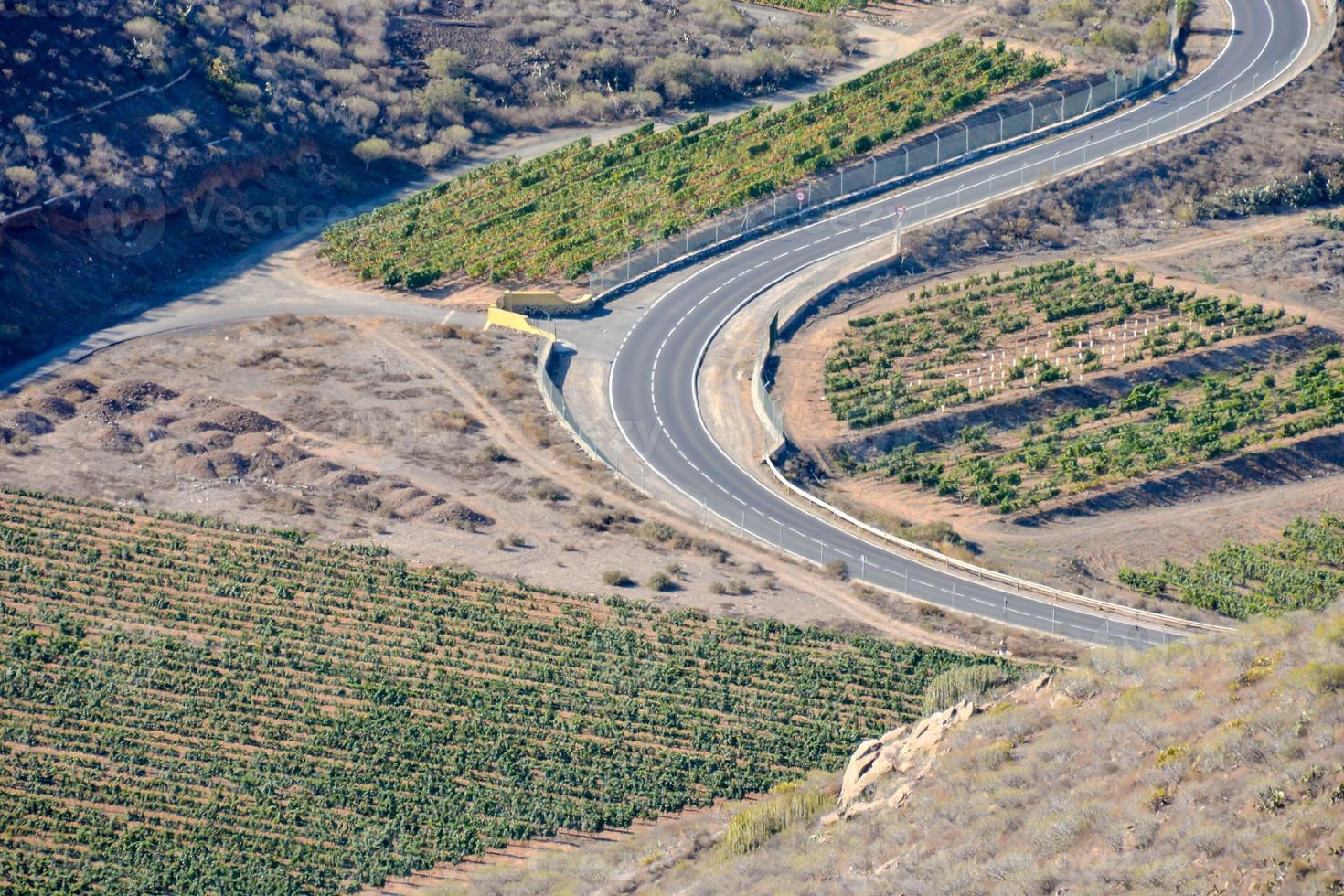 strada nel estate foto