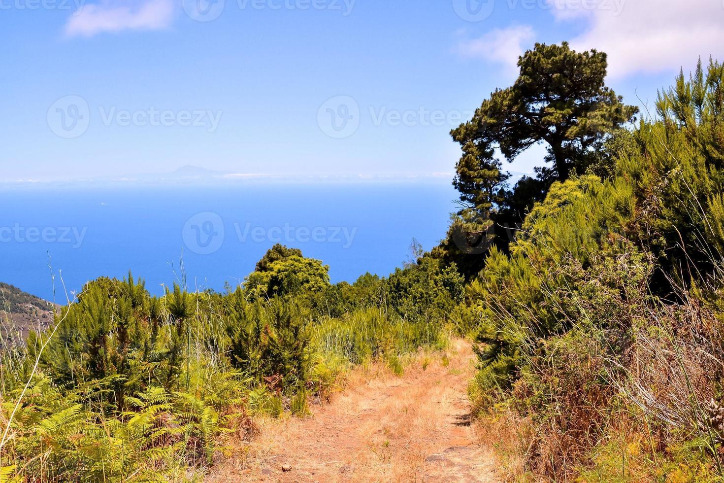 paesaggio in estate foto