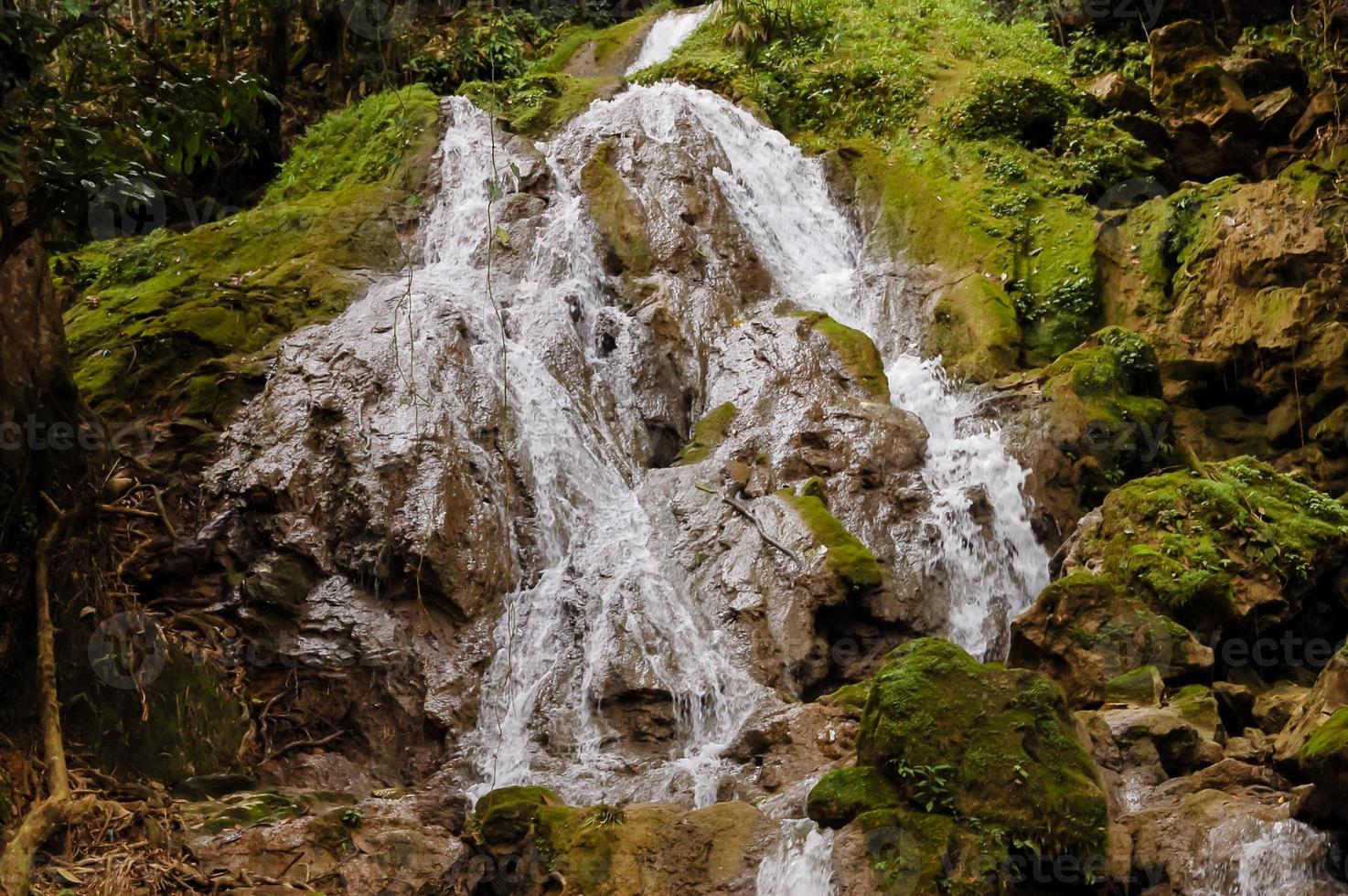 cascate nel estate foto