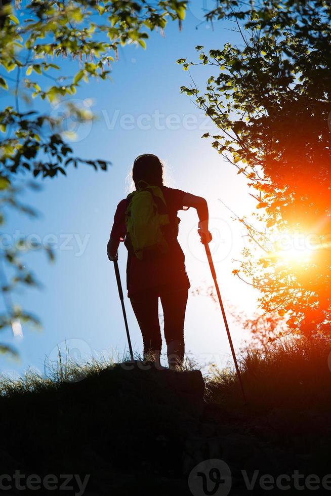 nordico a piedi in direzione il sole nel natura foto