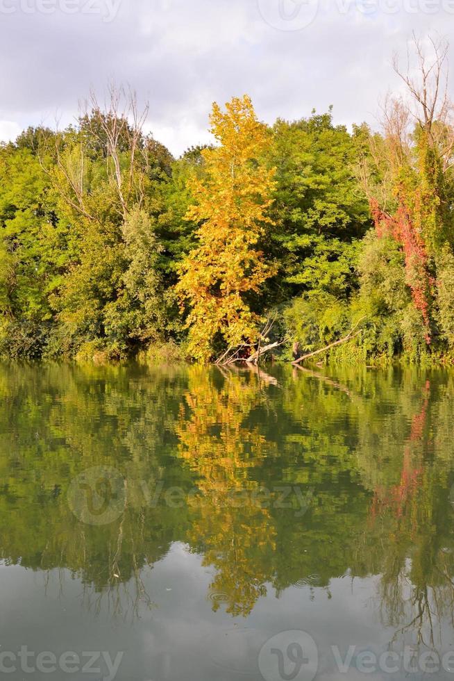 Visualizza di panoramico boschi e fiume foto