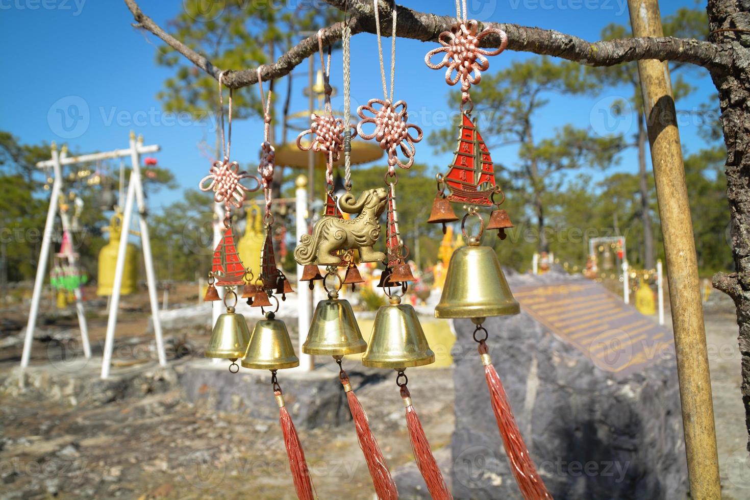 phu kradueng nazionale parco, loei Provincia, Tailandia. tutti poco campana appendere su albero ramo. foto