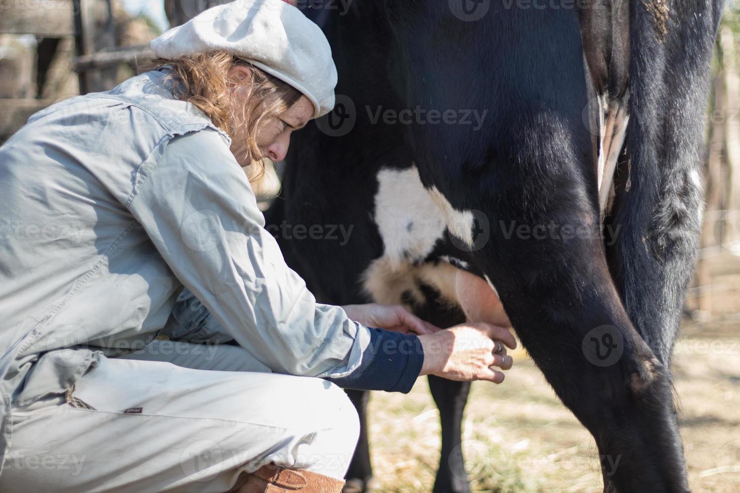 rurale Lavorando donna mungitura il mucche foto