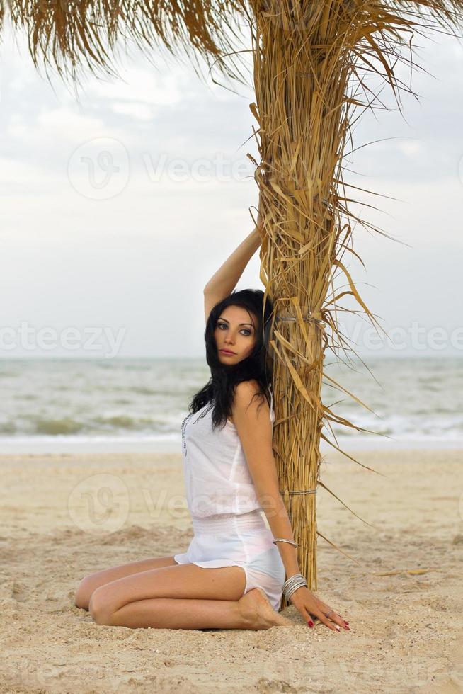 giovane brunetta su il palma albero foto