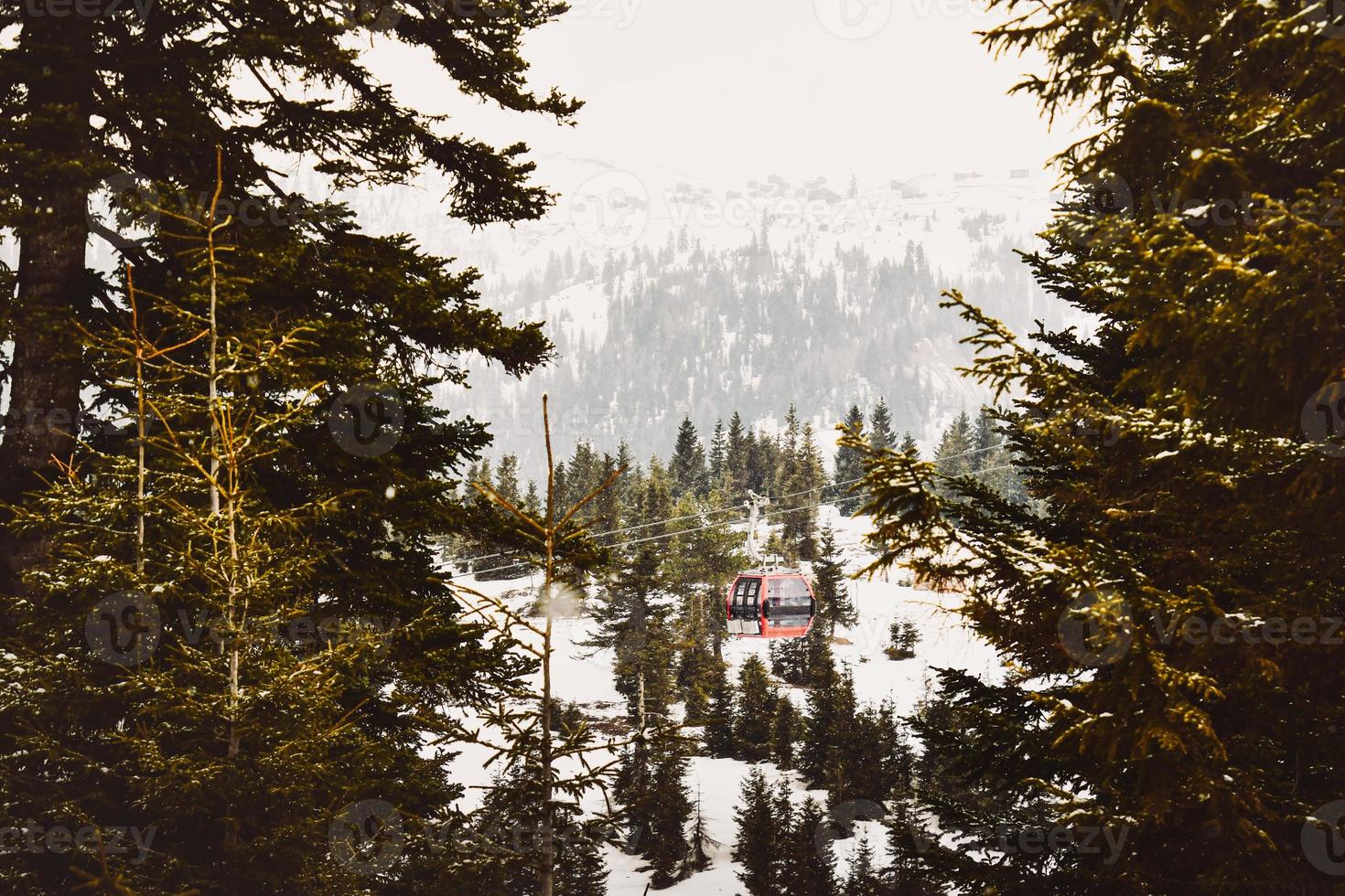 rosso gondola sciare cavo modo sollevamento isolato nel abete foresta nel goderdzi sciare ricorrere. Georgia foto