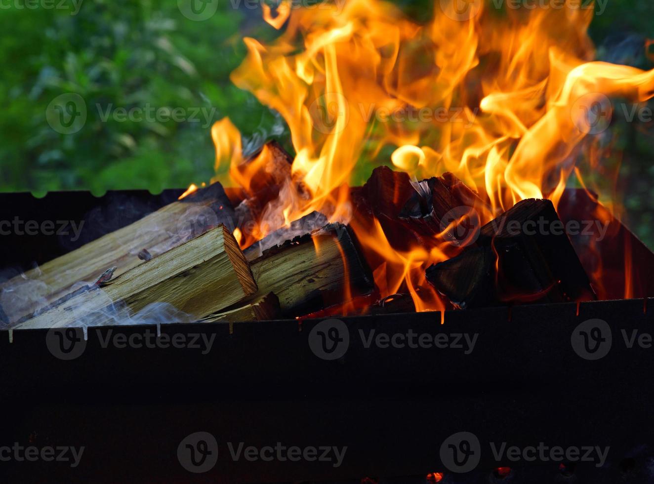 ardente di legno logs foto