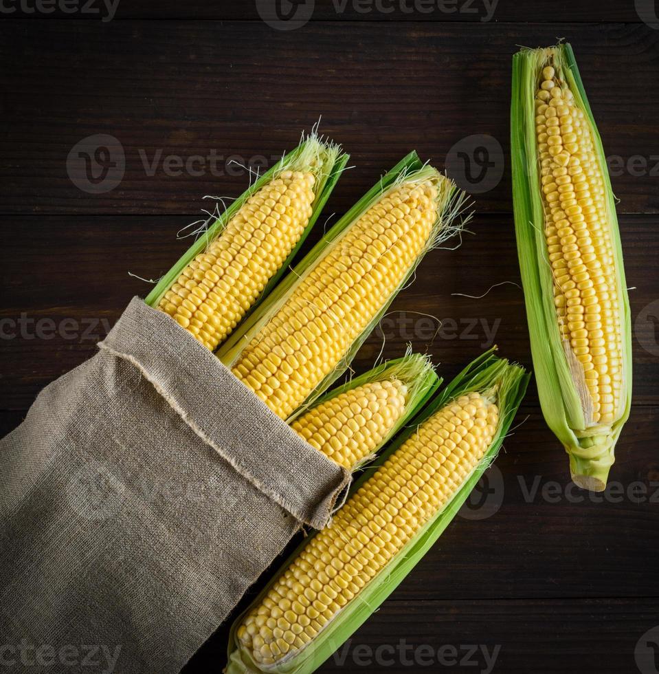 maturo giallo Mais pannocchie nel un' tela Borsa foto