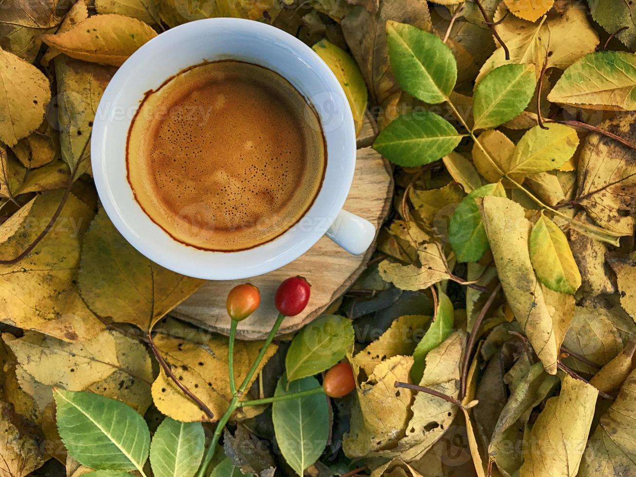 tazza di caffè espresso su un' di legno ceppo tra caduto giallo le foglie foto