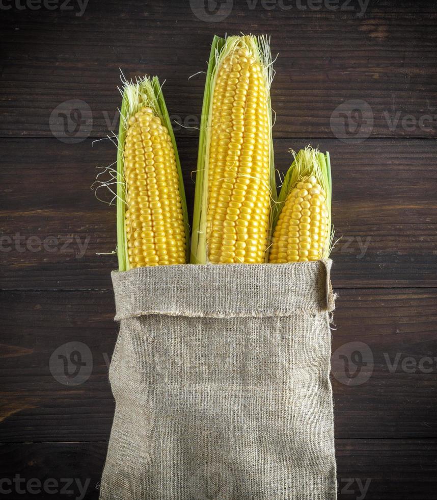 maturo giallo Mais pannocchie nel un' tela Borsa foto