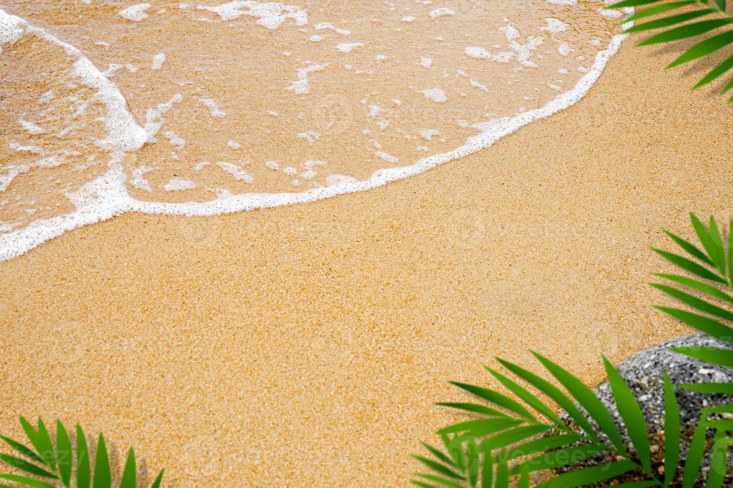sabbia struttura sfondo, roccia pietra e sfocato palma le foglie telaio, superiore Visualizza tropicale spiaggia con sfocato Noce di cocco foglia su Marrone sabbia, fondale sfondo deserto sabbia duna per estate Prodotto presentazione foto