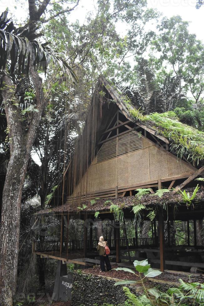 un vecchio bambù Casa nel il foresta foto