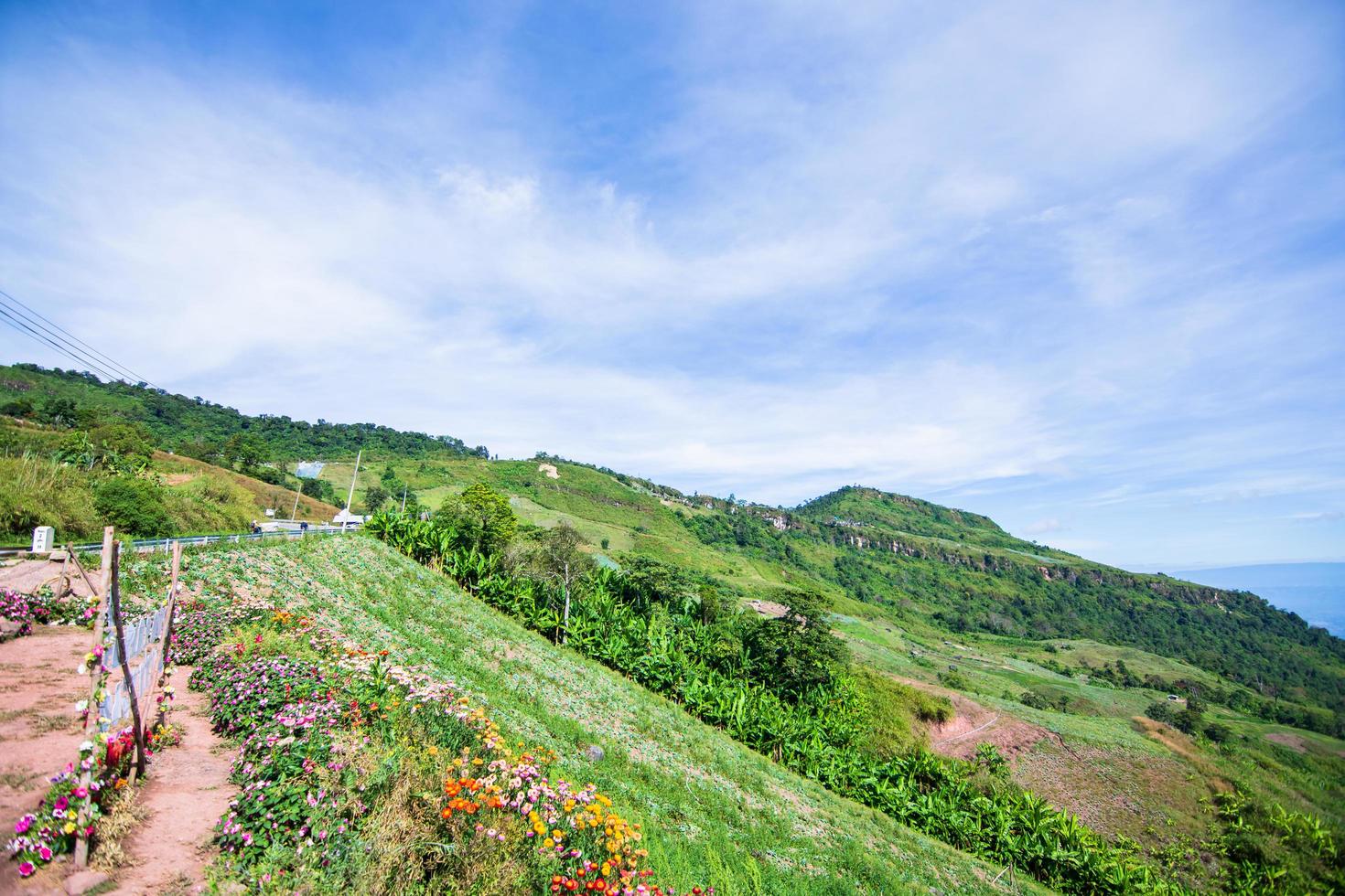 paesaggio a phu tubberk in thailandia foto