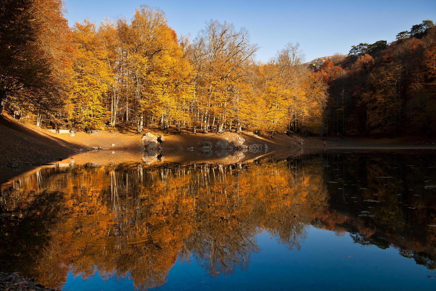 lago nella foresta foto