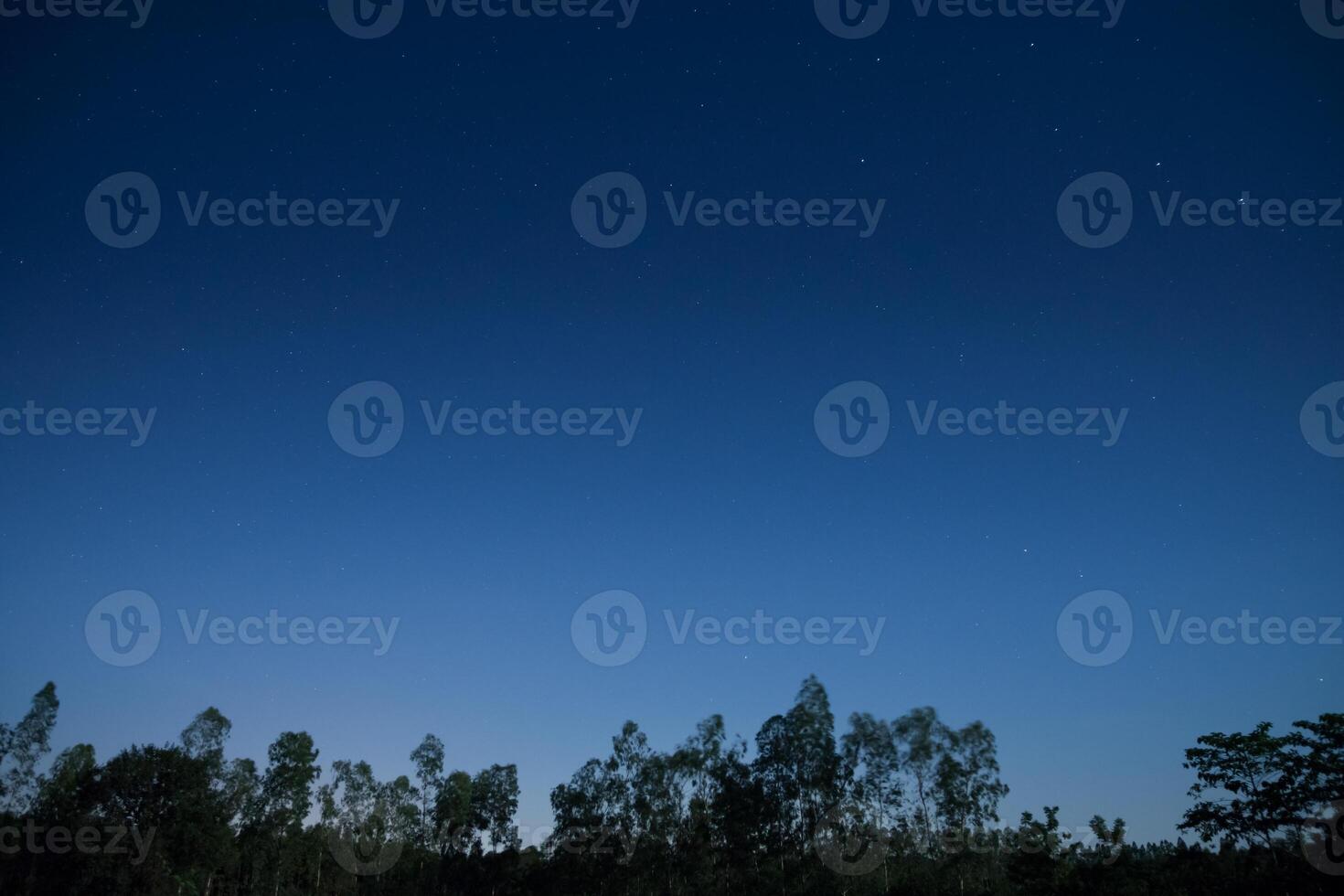 il cielo di notte foto