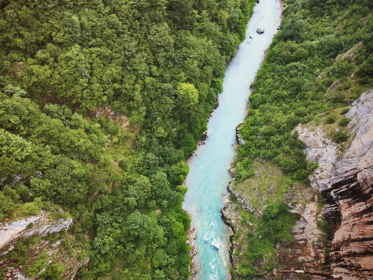 fiume tara a montenegri foto