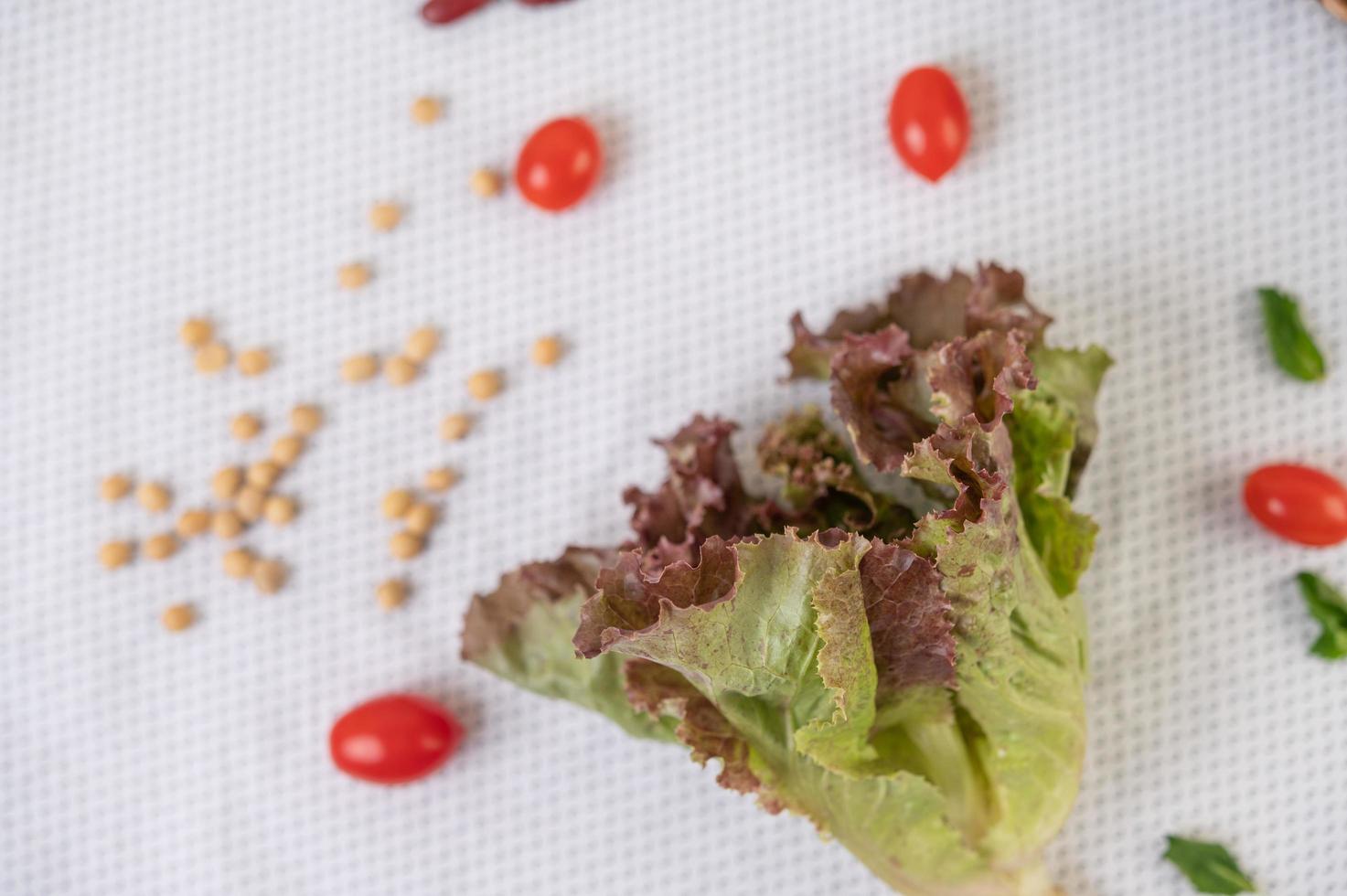 primo piano di insalata e pomodori su priorità bassa bianca foto