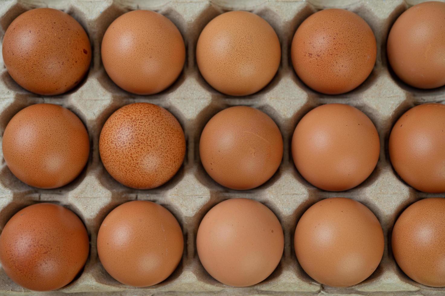 uova di gallina biologiche crude foto