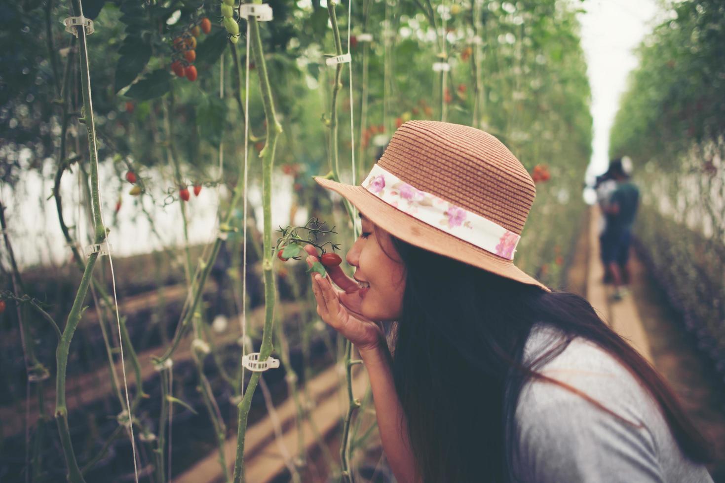 giovane donna in una serra con raccolta di pomodori biologici foto