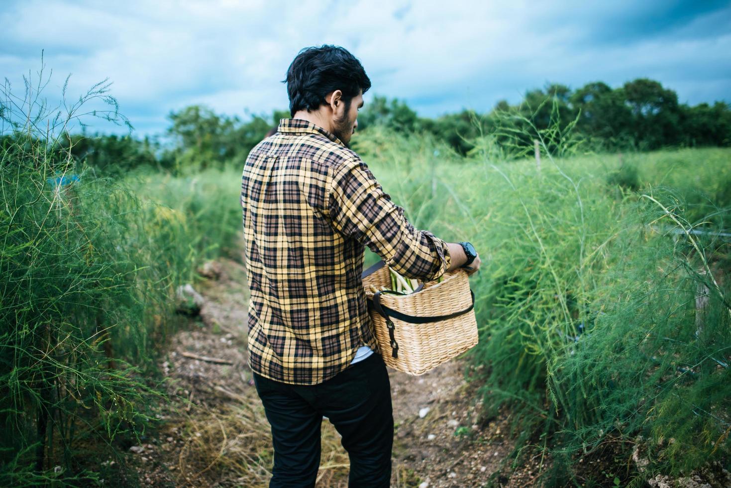 giovane agricoltore che raccoglie asparagi freschi foto