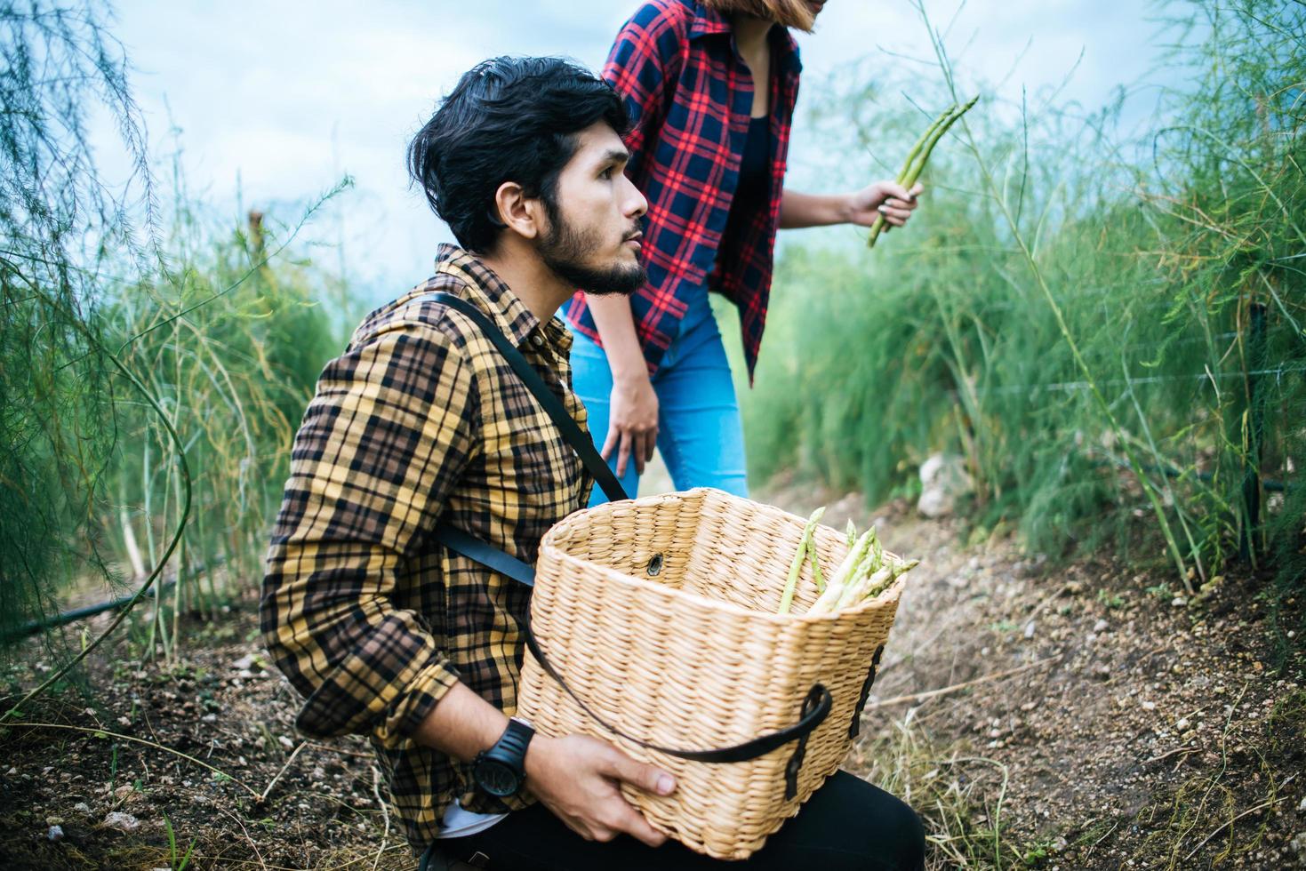 giovane coppia di contadini raccolta di asparagi freschi foto