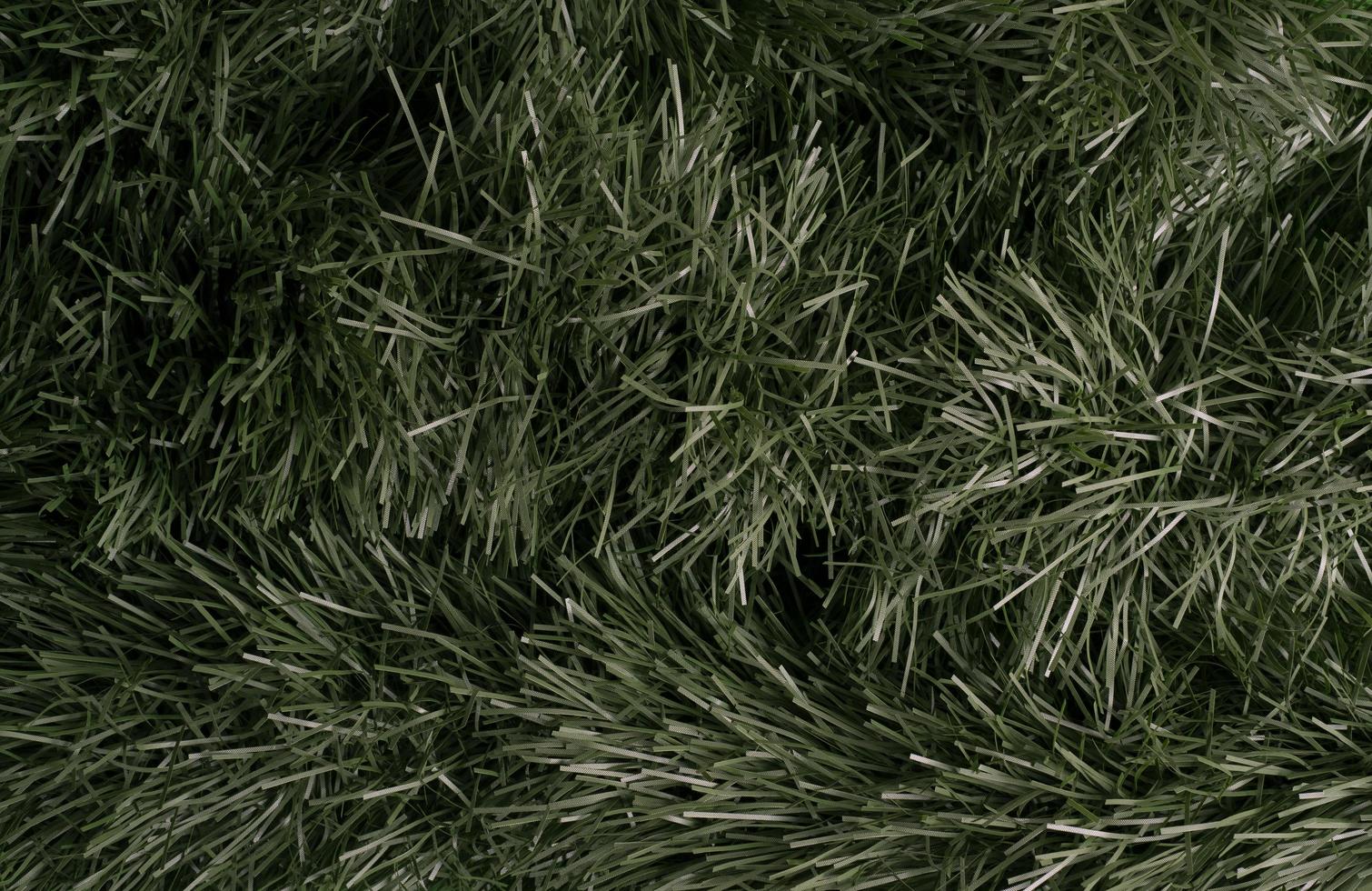 struttura dell'albero di Natale. sfondo verde con rami. foto