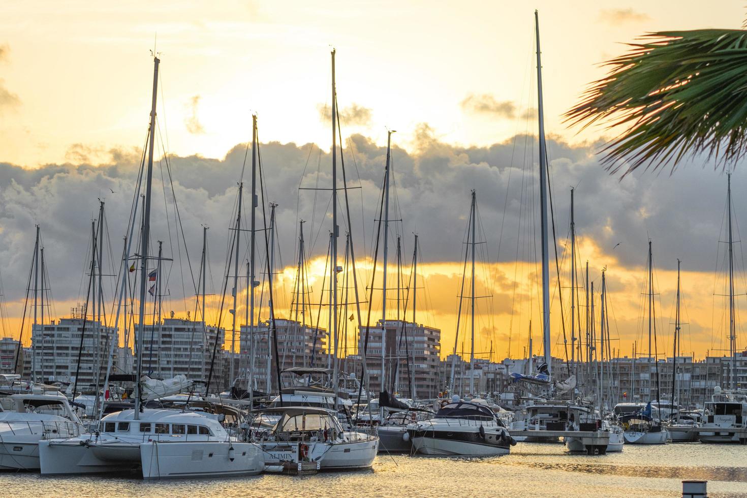 torrevieja, spagna, 2020 - barca bianca e nera sul molo durante il giorno foto