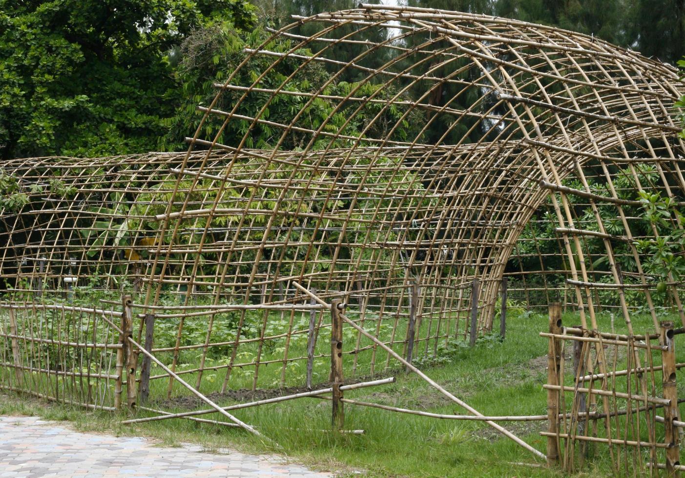 vecchio recinto di bambù con piante verdi foto