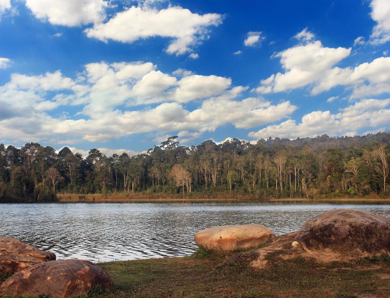 foresta del lago con cielo blu foto