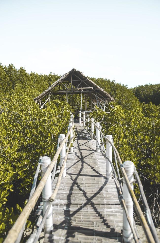 Bantayan Island, Filippine, 2020 - Mangrove Park Bantayan Island foto