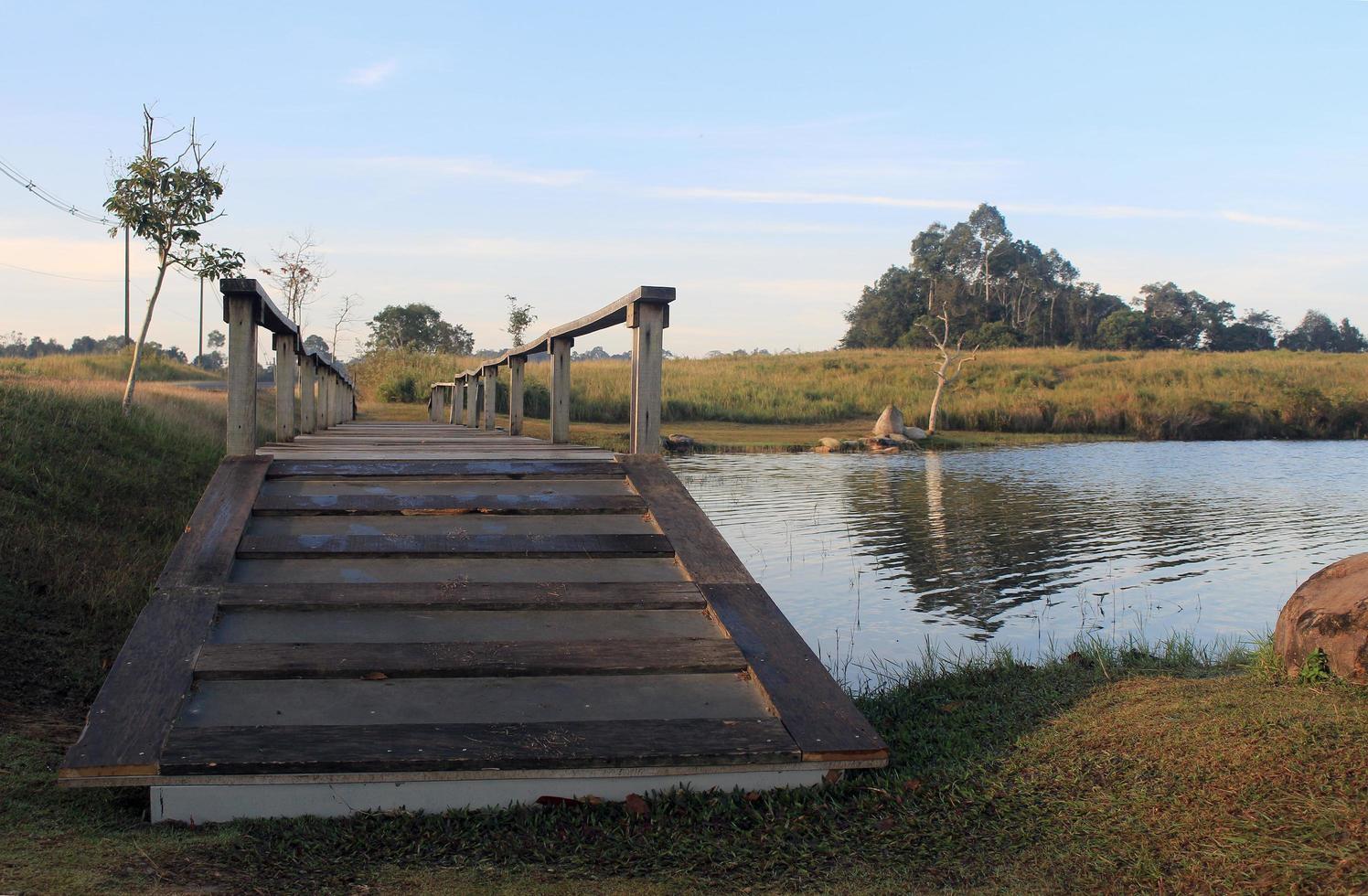 ponte di legno percorso sul lago nel parco nazionale foto