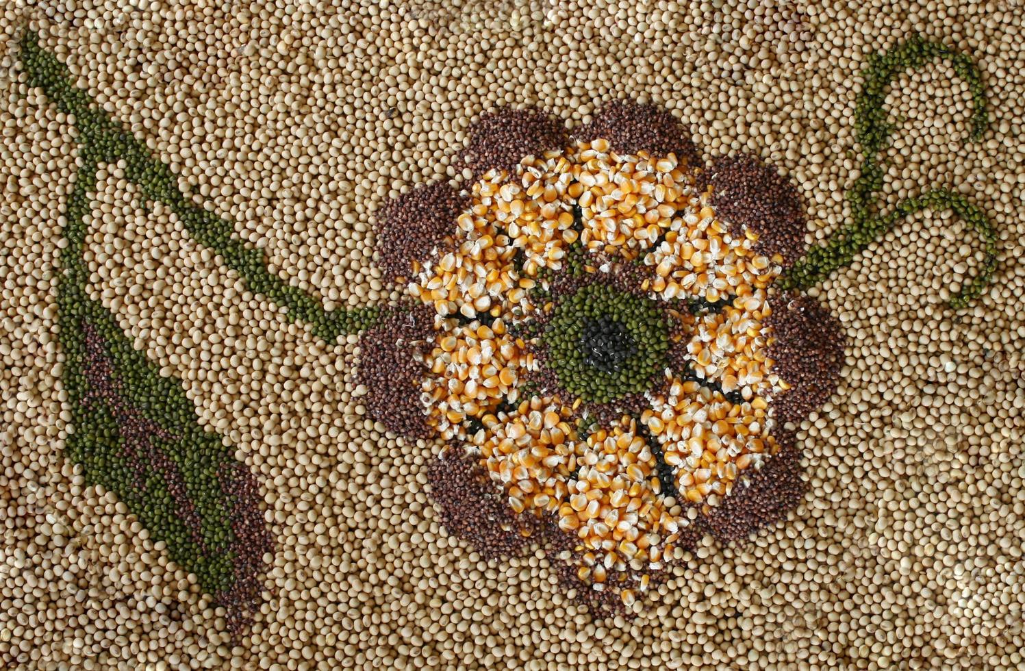 decorazione floreale fatta di semi foto