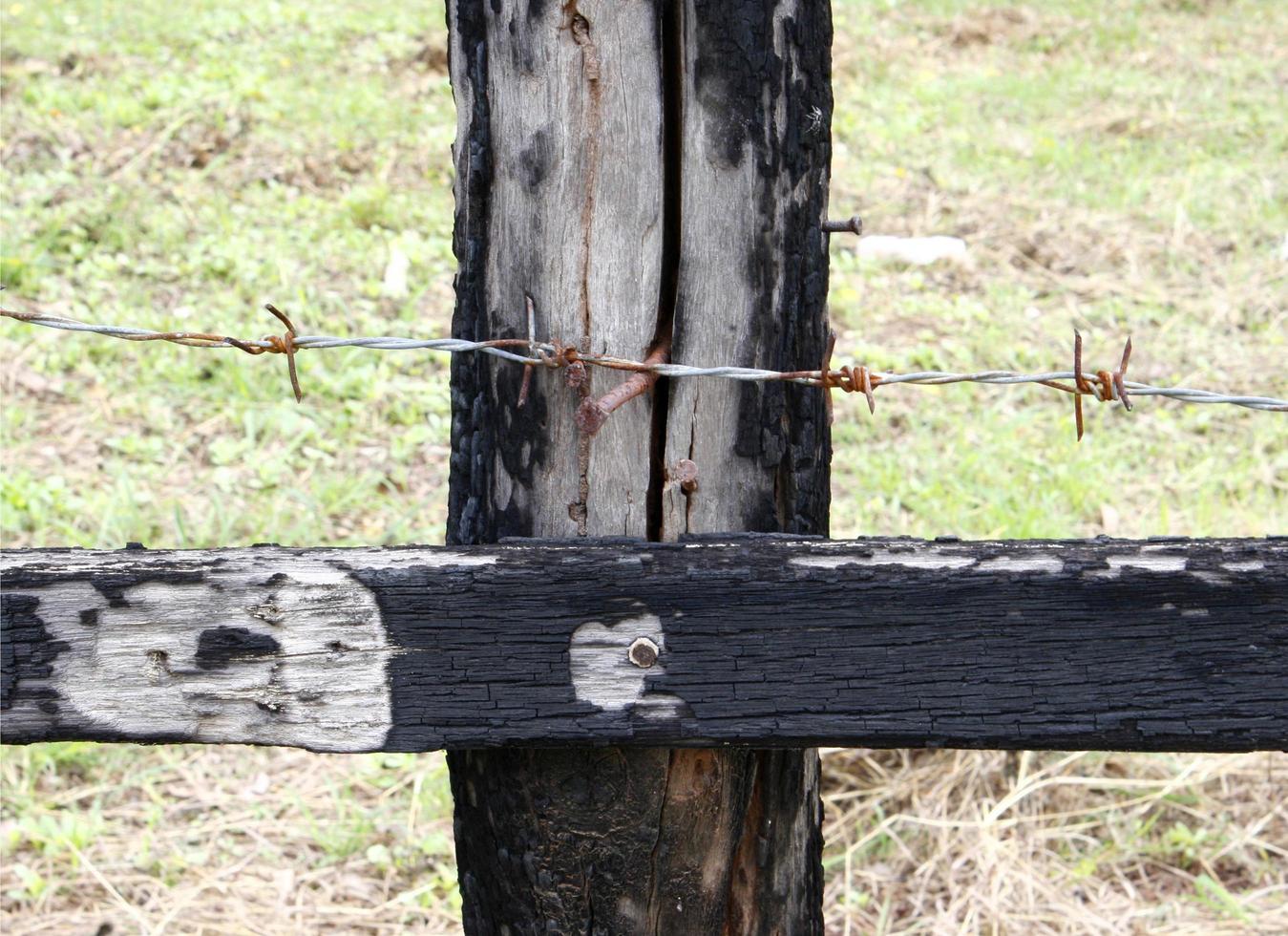 filo spinato recinzione su perno in legno foto