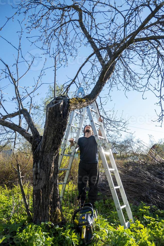 uomo potatura o segare Mela albero utilizzando motosega. contadino semina il asciutto rami di Mela alberi foto