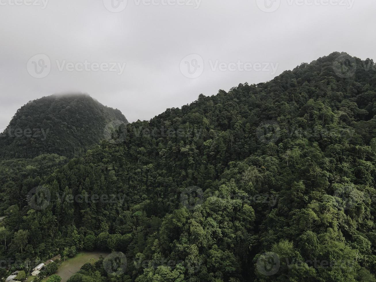 aereo Visualizza di nebbioso foresta paesaggio nel Indonesia a Alba. foto