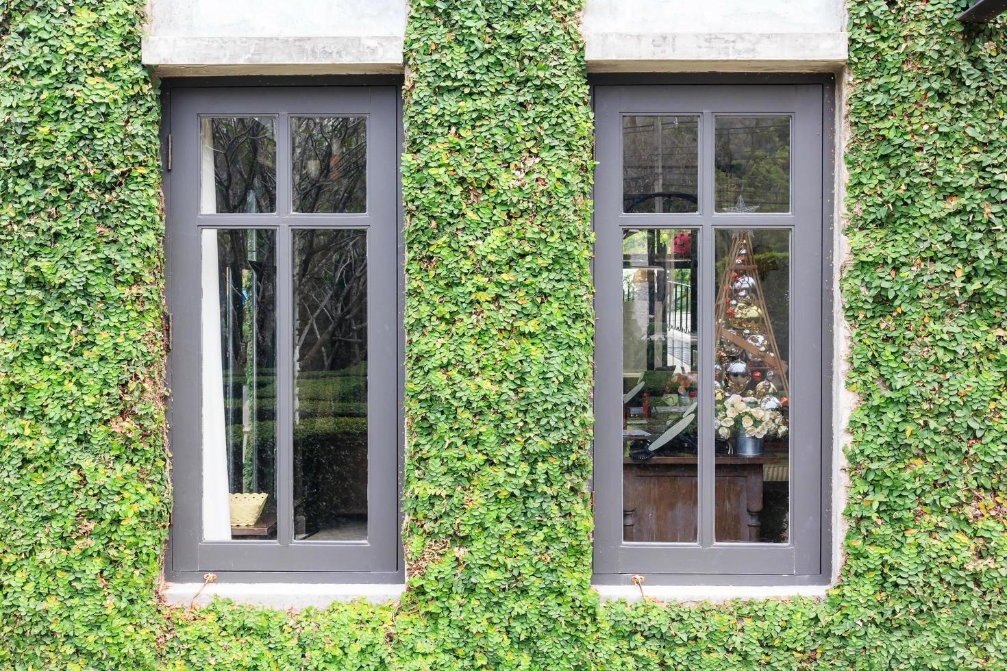 finestra bianca in casa ricoperta di edera verde e panca in legno nel campo verde. finestra ricoperta di edera verde foto