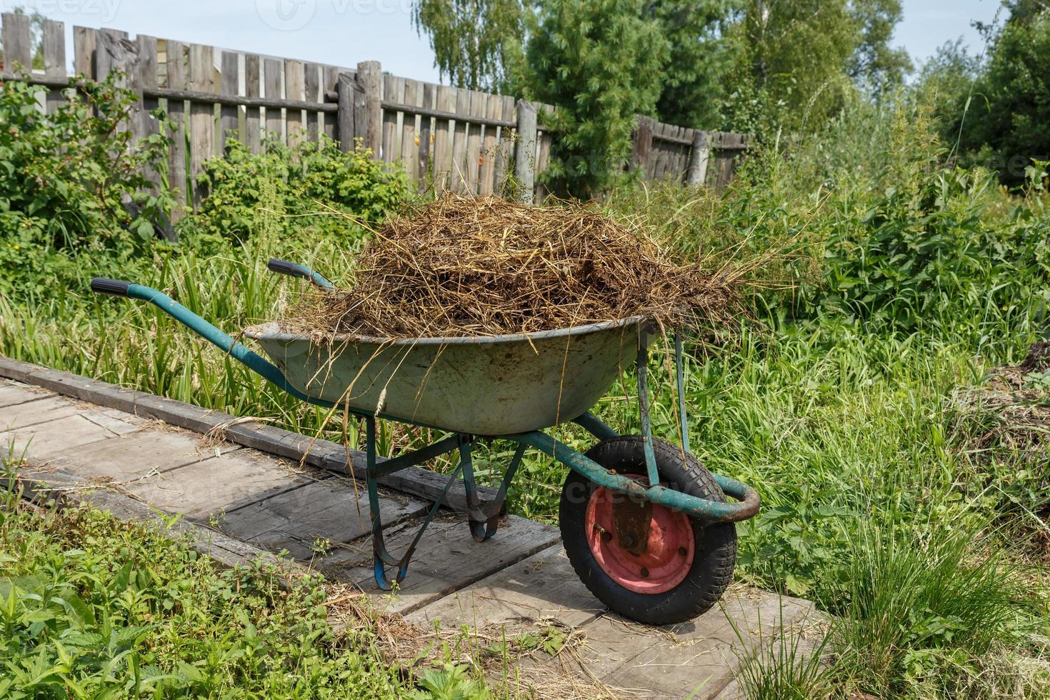 giardino carrello con naturale mucca letame. il carrello è su un' di legno  ponte vicino il recinzione. 19031516 Stock Photo su Vecteezy