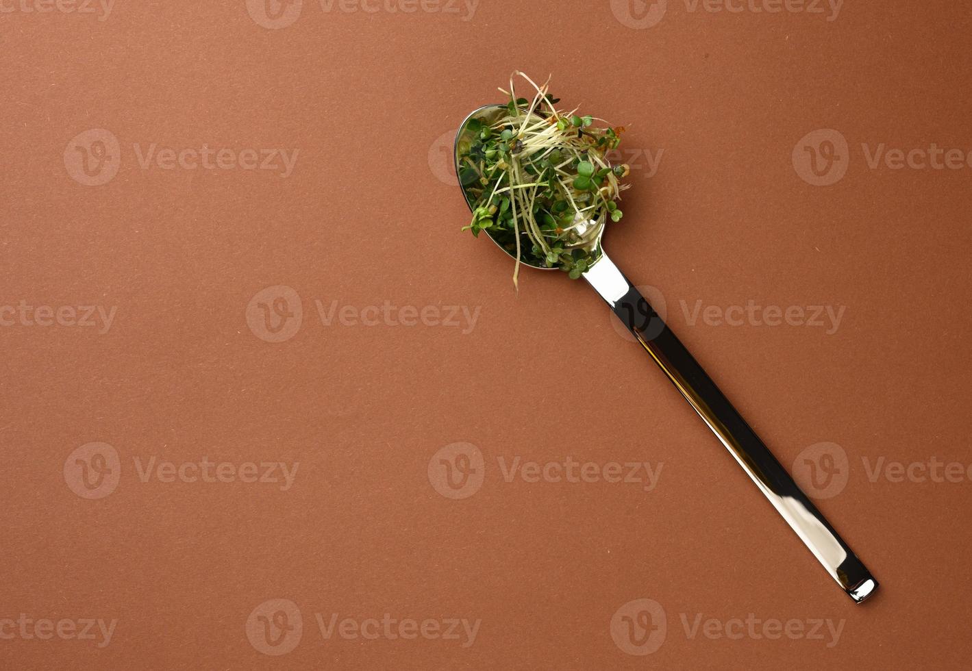 giovane germogli di microgreen nel un' metallo cucchiaio su un' Marrone sfondo foto