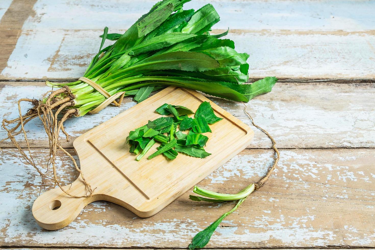 erbe aromatiche culantro su un tagliere di legno foto