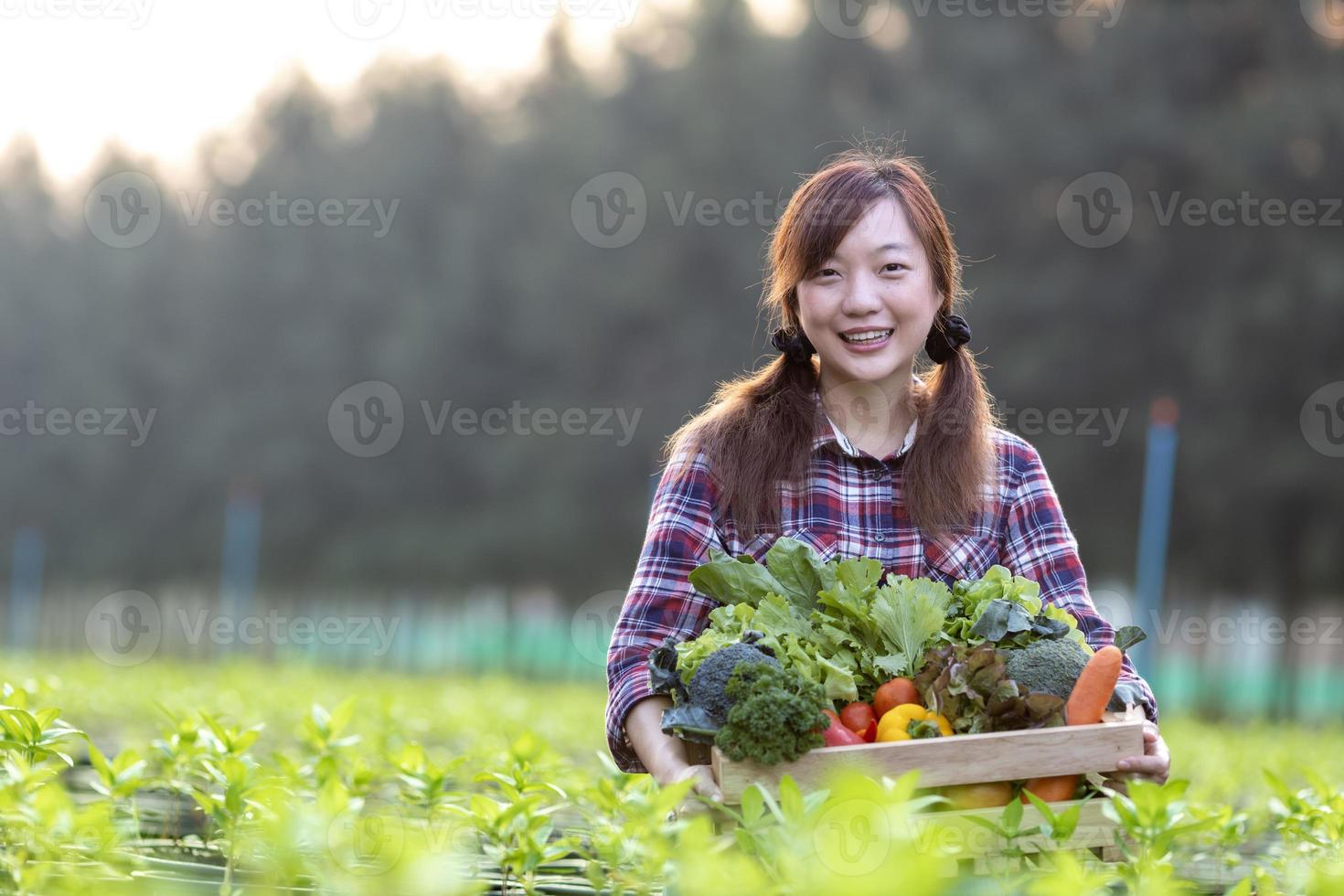 asiatico donna contadino è trasporto il di legno vassoio pieno di appena raccogliere organici verdure nel sua giardino per raccogliere stagione e salutare dieta cibo concetto foto