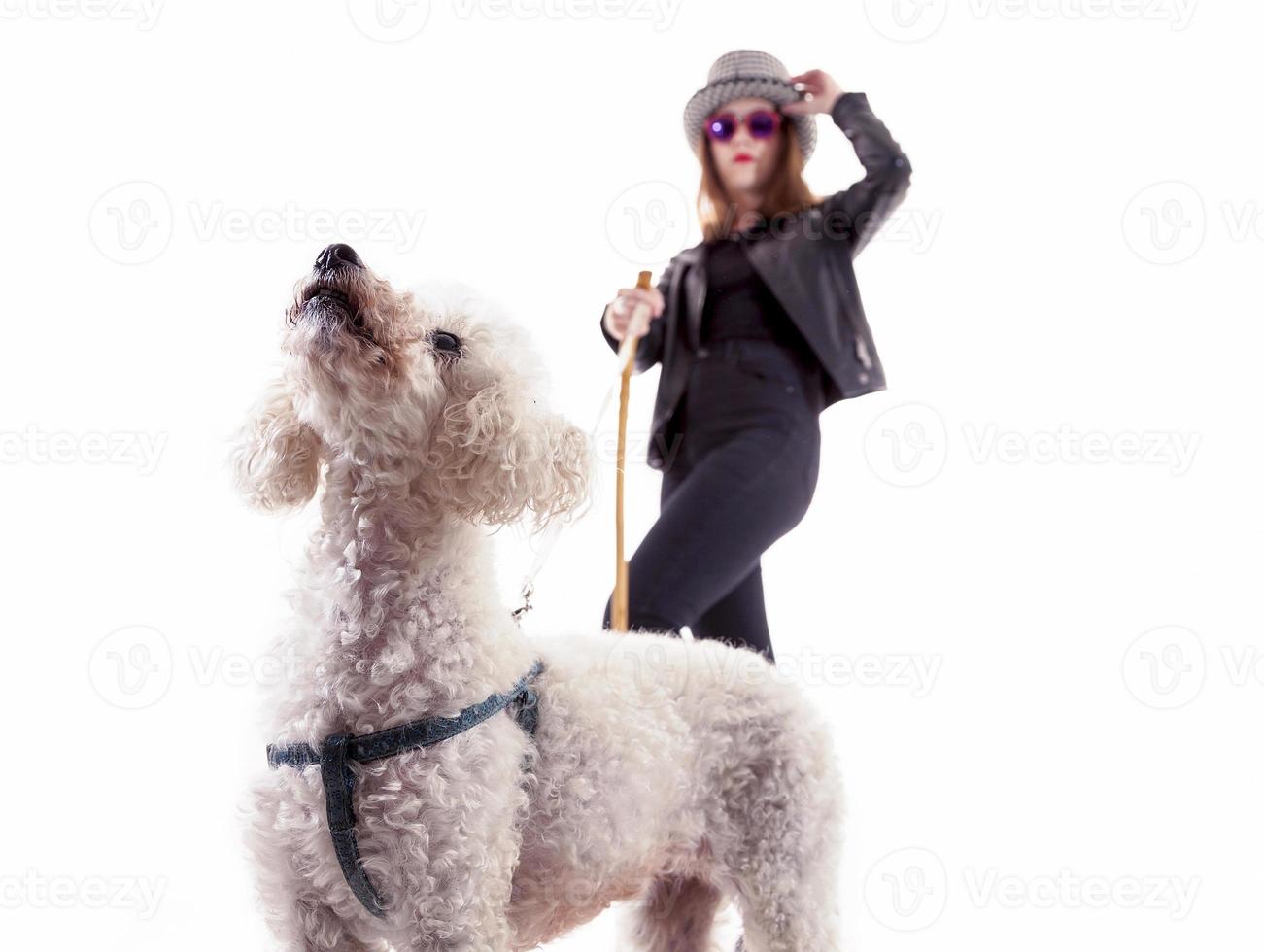 ritratto di poco cane con sua giovane padrona foto