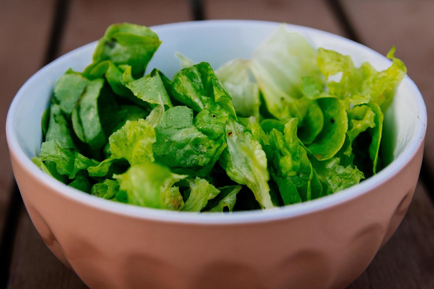 primo piano di una ciotola di insalata foto