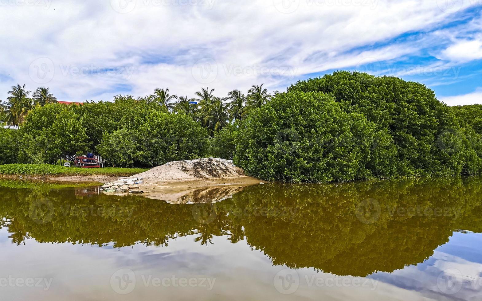 verde bellissimo tropicale fiume d'acqua dolce laguna nel puerto escondido Messico. foto