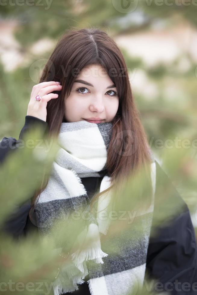 bellissimo giovane brunetta ragazza su il sfondo di abete rami. foto