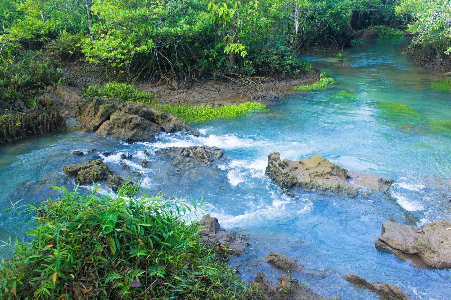 fiume e rocce nella foresta foto