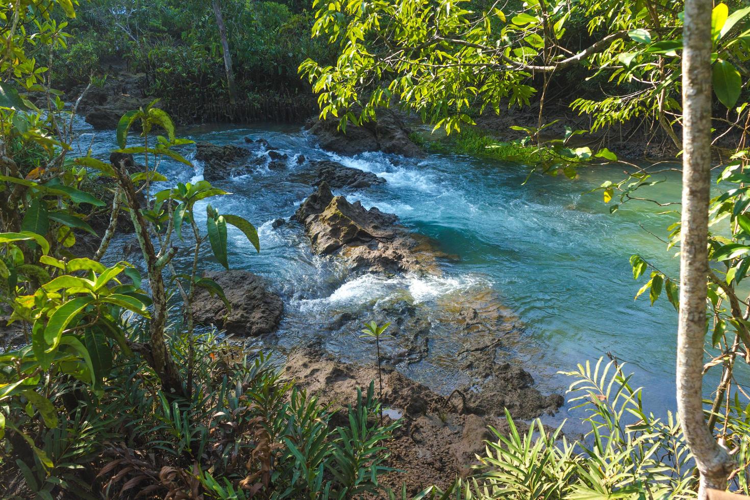 fiume e foresta con cielo blu nuvoloso foto