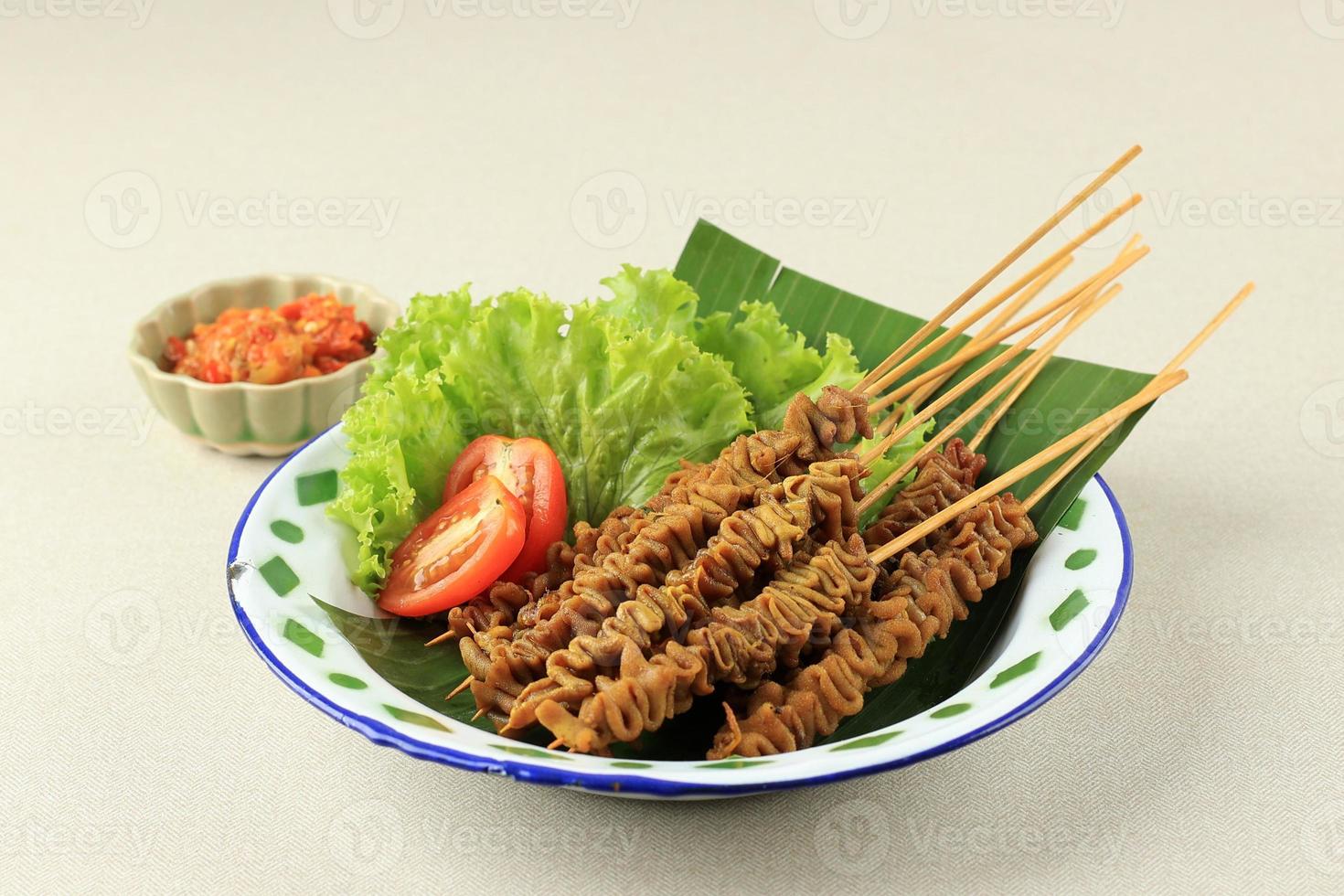 saziare usus Ayam, pollo intestino satay foto