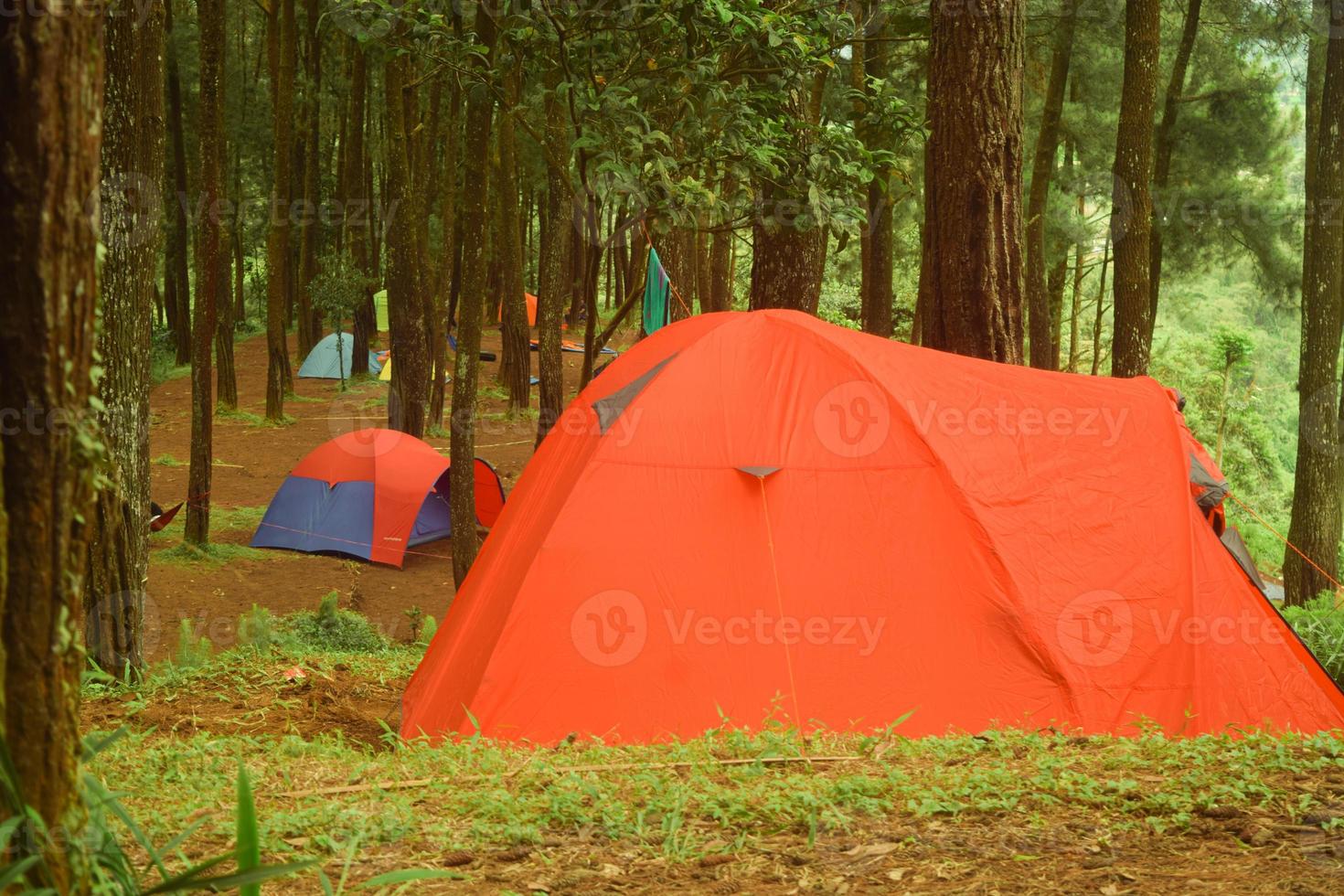 campeggio nel il foresta, tenda nel il campeggio terra fotografia foto