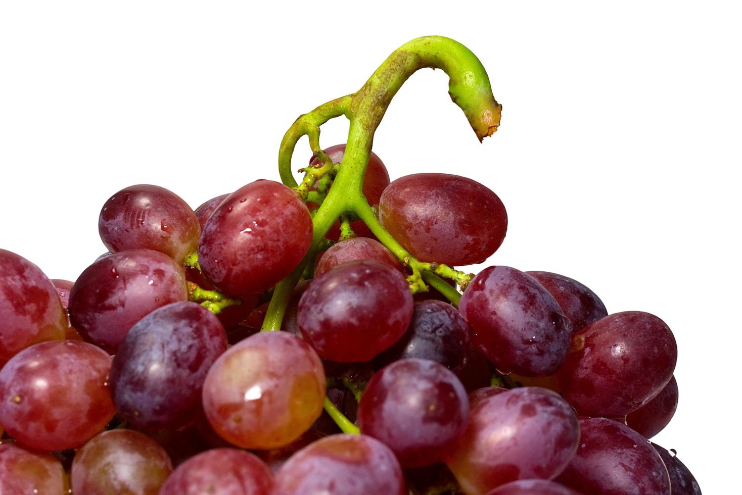 primo piano di uve rosse su sfondo bianco foto