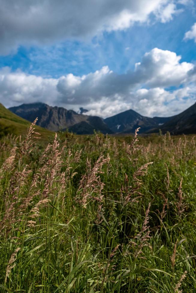 erba e montagne durante il giorno foto